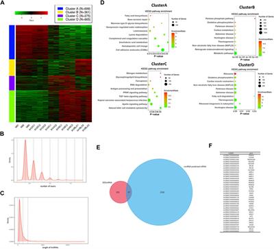 LncRNA affects epigenetic reprogramming of porcine embryo development by regulating global epigenetic modification and the downstream gene SIN3A